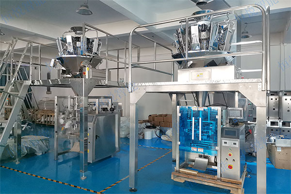 电子秤全自动定量草莓社区网址的新地址技术参数