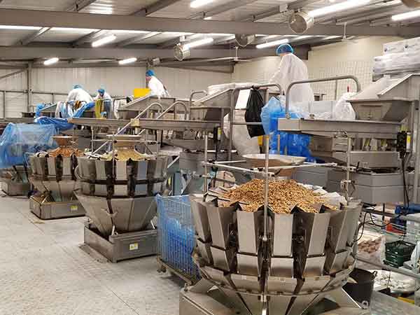 全自动草莓社区网址的新地址智能化联动生产