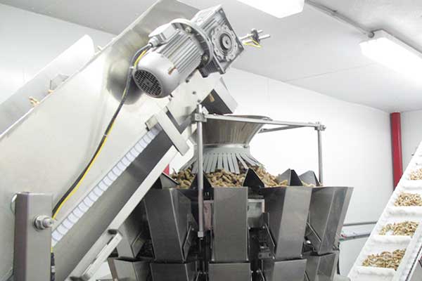 智能化全自动坚果草莓社区网址的新地址厂家