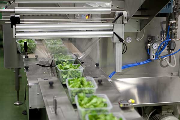 瓜果蔬菜全自动脱水蔬菜草莓社区网址的新地址